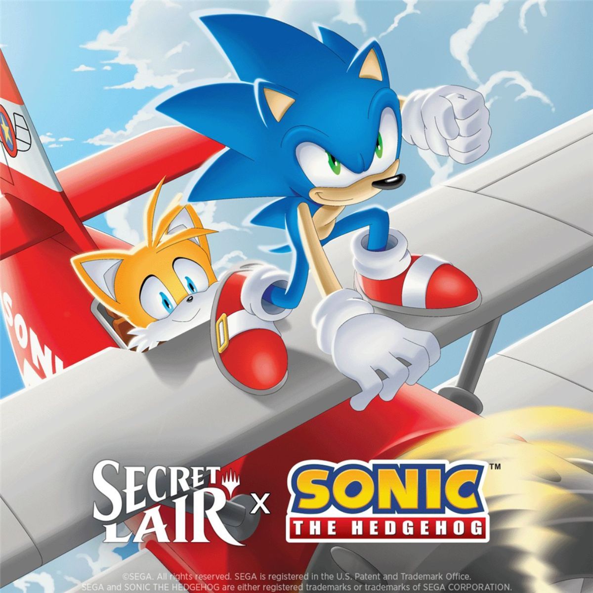 Item Secret Lair x Sonic: Friends & Foes – EN – Box-Set – Magic the Gathering