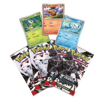 Schwarzer Blitz & Weiße Flamme - Poster-Sammelbox - Pokémon - FR - [SV10.5][EV10.5]