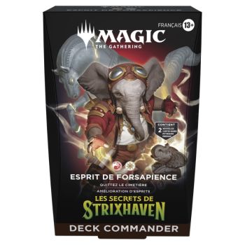 Die Geheimnisse von Strixhaven – Konvolut von 5 Commander-Decks – FR – Magic: The Gathering – SOS